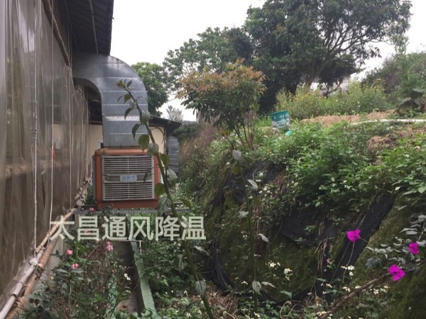 天氣太熱?環(huán)?？照{(diào)為你的餐廳守護(hù)清涼